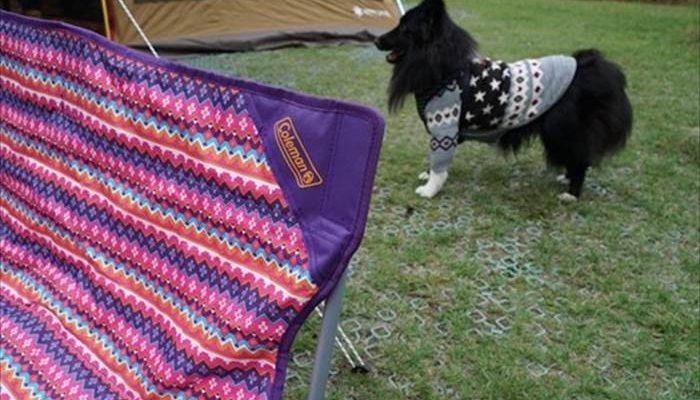 コールマン｜ファンチェア ダブルフェスウェーブ